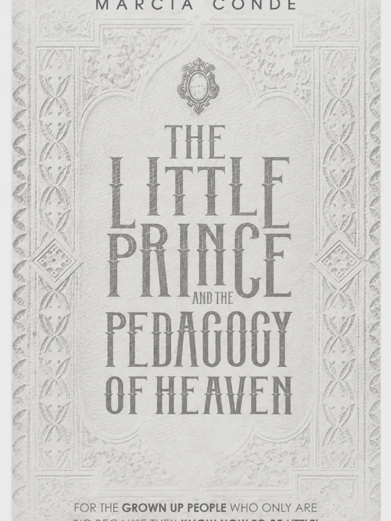 Capa do livro The Little Prince and The Pedagogy of Heaven